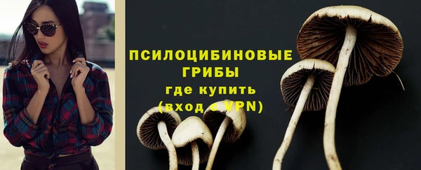 ALPHA-PVP Горняк