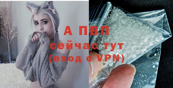 молекула духа Гусиноозёрск