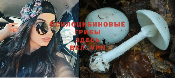 мдма Горнозаводск
