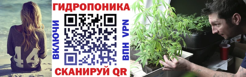 Бошки марихуана ГИДРОПОН  Юрга 